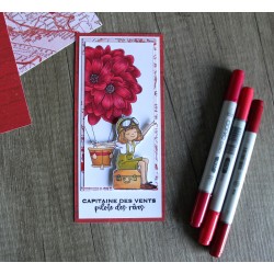 Montgolfière de fleurs