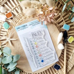 Tampons - Bleu comme - Rêve...