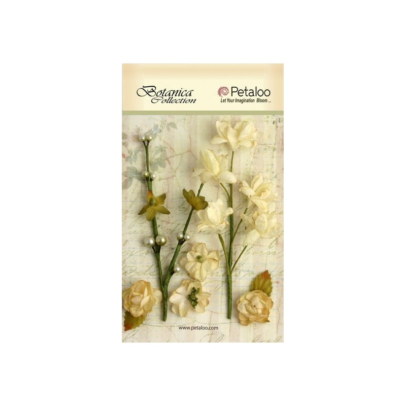 Floral Ephemera - Ivory