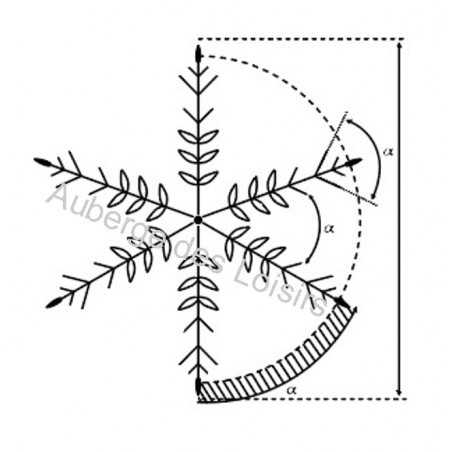 Flocon technique