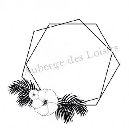 Hexagone tropical Hexagone tropical