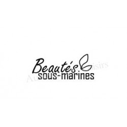 Beautés sous-marines