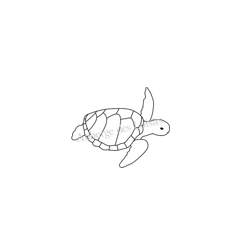 Tortue