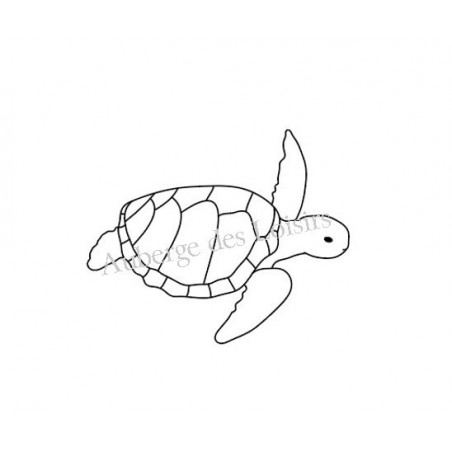 Tortue Tortue