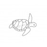 Tortue