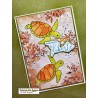 Tortue