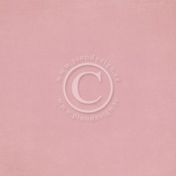 Pion Pink III - Palette
