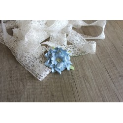 Gardenia - bleu