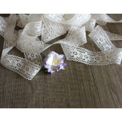 Petit Gardenia - violet