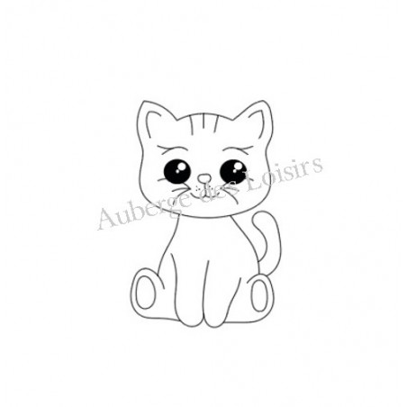 Chaton Chaton