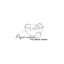 Pique-nique en pleine nature