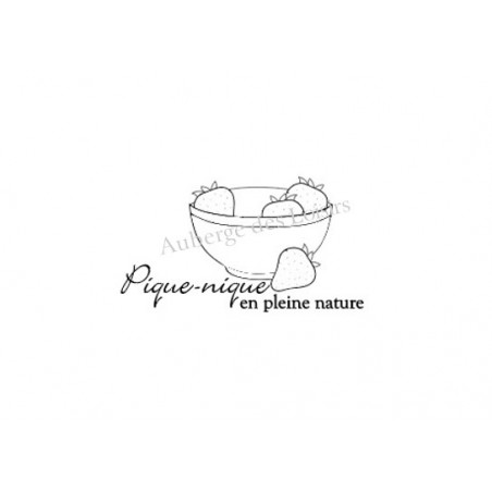 Pique-nique en pleine nature