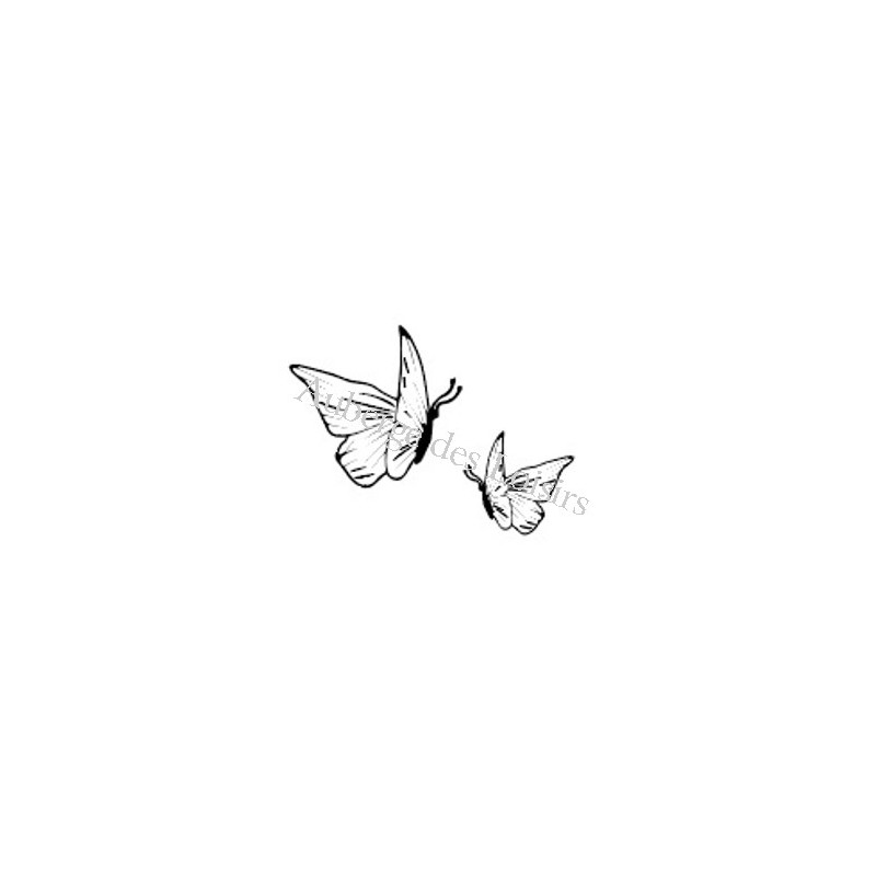 Duo de papillons
