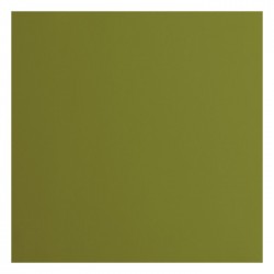 Cardstock Florence - Olive