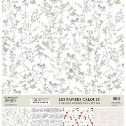 Kit calque Herbarium