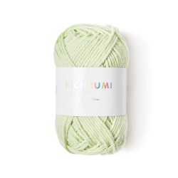 Fil à crocheter - Vert pastel - 045 - Ricorumi